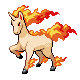 Rapidash.png