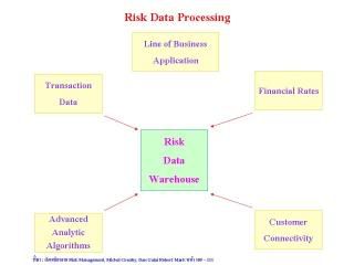 Risk Data Processing