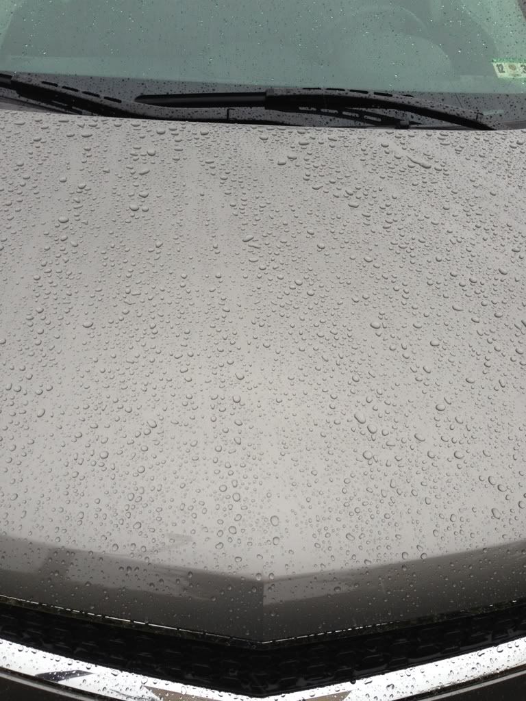 A82DDBE9-CC9C-4991-BDF9-D5C7D77A9A0F-3824-000002F2B2F74763.jpg