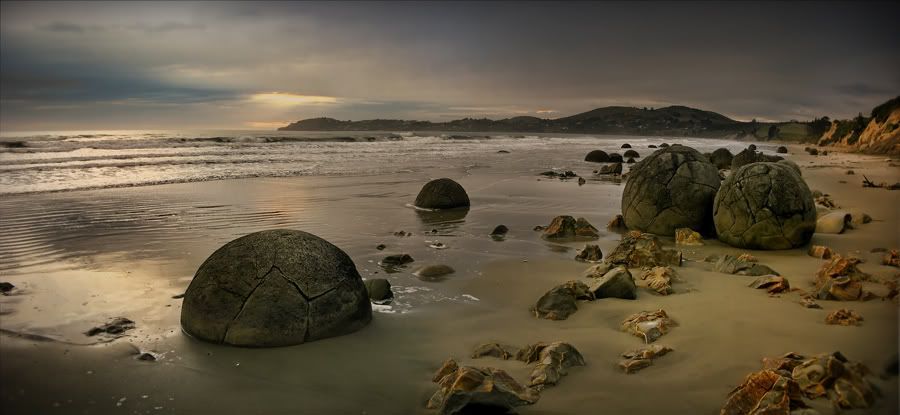 Morning Stillness Over Moeraki Beach Pictures, Images and Photos