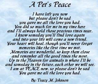 A Pets Peace