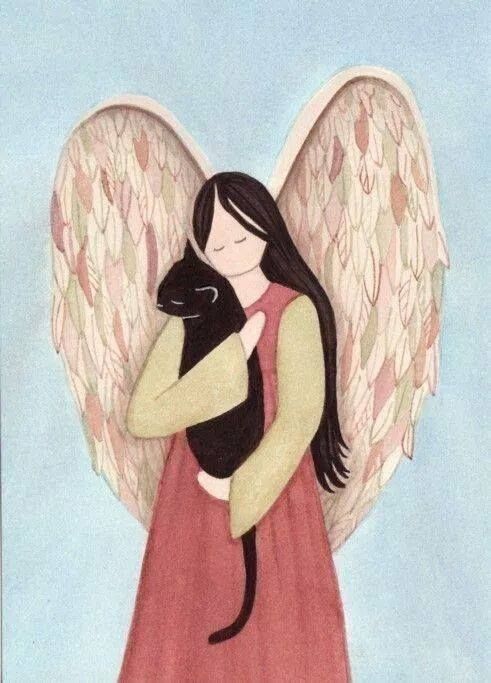 Angel And Cat 3