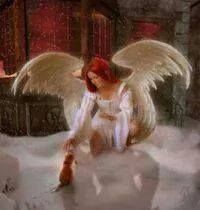 Angel And Cat