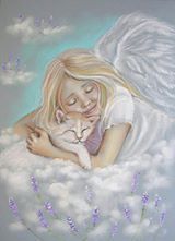 Angel Girl And Cat