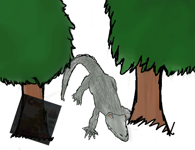 Wild Log