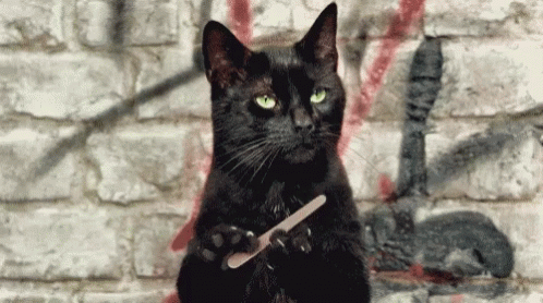 Beware photo tenor 1_zpsohf5bv8m.gif