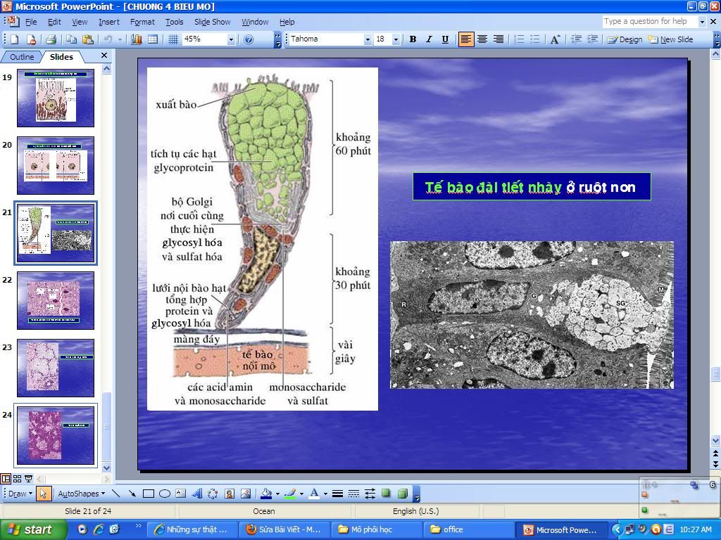 Bài giảng Mô phôi powerpoint rất đẹp image-760