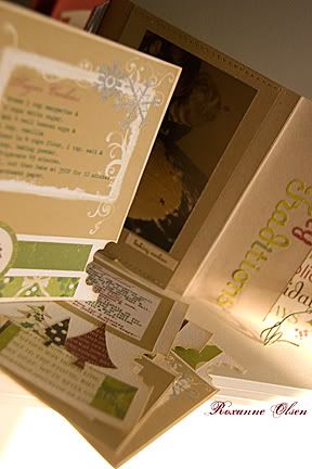 mini-album - view of pull out cards