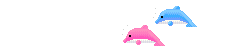 dolphin